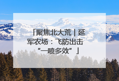 聚焦北大荒｜延军农场：飞防出击 “一喷多效”
