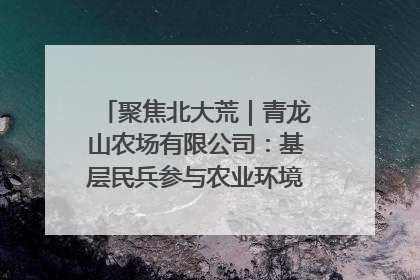 聚焦北大荒｜青龙山农场有限公司：基层民兵参与农业环境综合治理显效