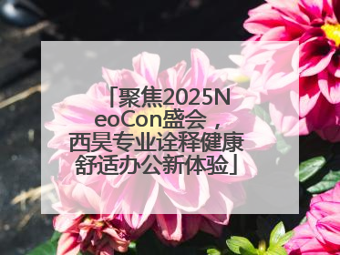 聚焦2025NeoCon盛会，西昊专业诠释健康舒适办公新体验