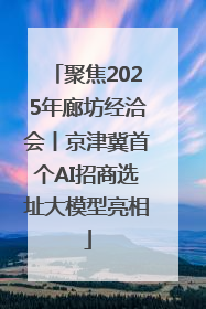 聚焦2025年廊坊经洽会丨京津冀首个AI招商选址大模型亮相