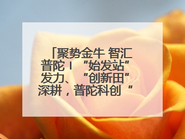 聚势金牛 智汇普陀〡“始发站”发力、“创新田”深耕，普陀科创“金牛”闪耀