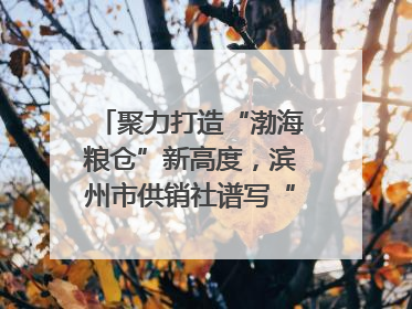 聚力打造“渤海粮仓”新高度，滨州市供销社谱写“三夏”丰收乐章
