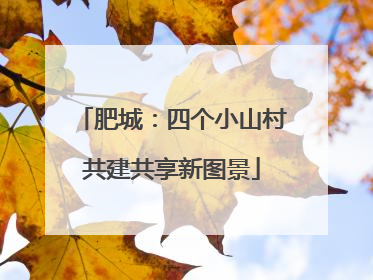 肥城：四个小山村共建共享新图景