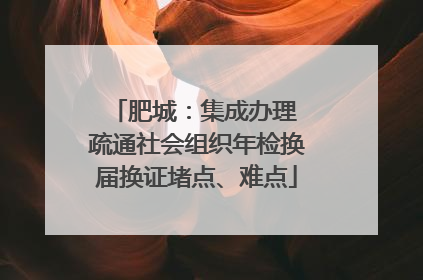 肥城：集成办理 疏通社会组织年检换届换证堵点、难点