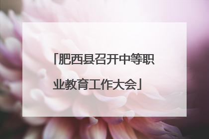 肥西县召开中等职业教育工作大会