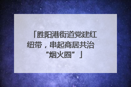 胜阳港街道党建红纽带，串起商居共治 “烟火圈”