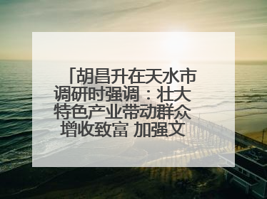 胡昌升在天水市调研时强调：壮大特色产业带动群众增收致富 加强文物保护推动文化创新发展