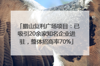 腊山复利广场项目：已吸引20余家知名企业进驻，整体招商率70%