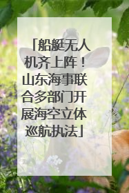船艇无人机齐上阵！山东海事联合多部门开展海空立体巡航执法
