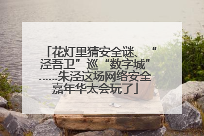花灯里猜安全谜、“泾吾卫”巡“数字城”……朱泾这场网络安全嘉年华太会玩了