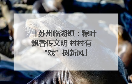 苏州临湖镇：粽叶飘香传文明 村村有“戏”树新风