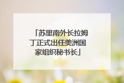 苏里南外长拉姆丁正式出任美洲国家组织秘书长