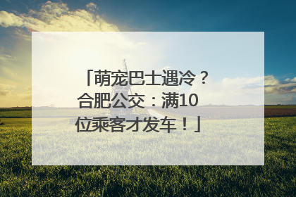 萌宠巴士遇冷？合肥公交：满10位乘客才发车！