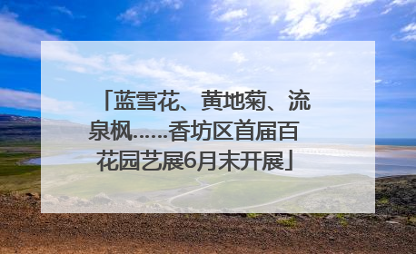 蓝雪花、黄地菊、流泉枫……香坊区首届百花园艺展6月末开展