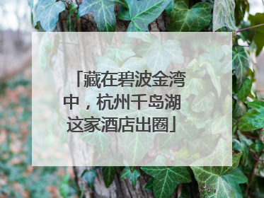 藏在碧波金湾中，杭州千岛湖这家酒店出圈