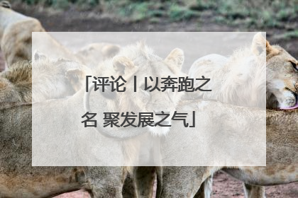 评论丨以奔跑之名 聚发展之气