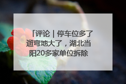 评论｜停车位多了遛弯地大了，湖北当阳20多家单位拆除围墙方便居民