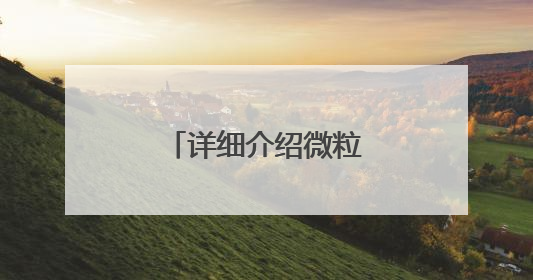 详细介绍微粒贷借钱的开通方式与官方入口