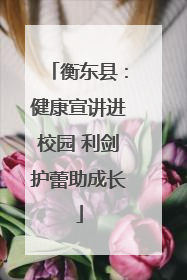 衡东县：健康宣讲进校园 利剑护蕾助成长