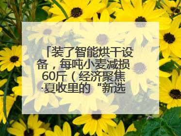 装了智能烘干设备，每吨小麦减损60斤（经济聚焦·夏收里的“新选手”）
