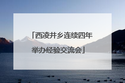 西凌井乡连续四年举办经验交流会