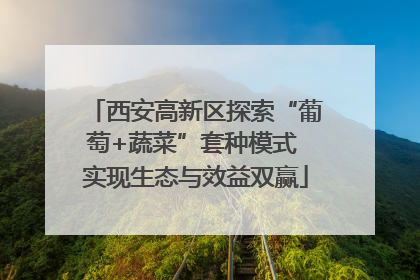 西安高新区探索“葡萄+蔬菜”套种模式 实现生态与效益双赢