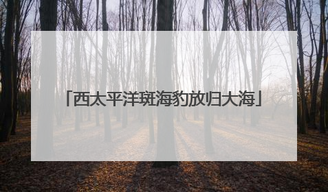 西太平洋斑海豹放归大海