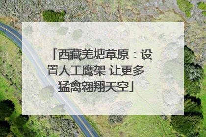 西藏羌塘草原：设置人工鹰架 让更多猛禽翱翔天空