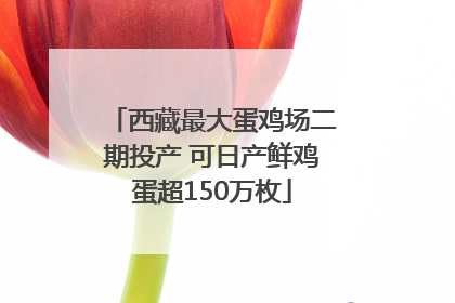 西藏最大蛋鸡场二期投产 可日产鲜鸡蛋超150万枚