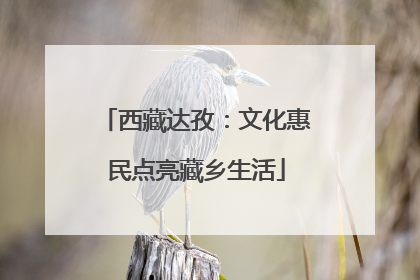 西藏达孜：文化惠民点亮藏乡生活