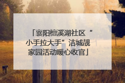 襄阳檀溪湖社区“小手拉大手”洁城靓家园活动暖心收官
