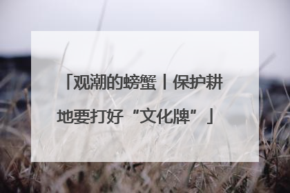 观潮的螃蟹丨保护耕地要打好“文化牌”