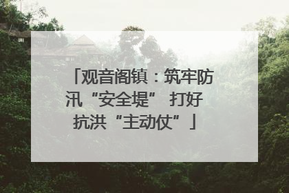 观音阁镇：筑牢防汛“安全堤” 打好抗洪“主动仗”