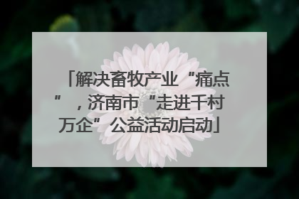 解决畜牧产业“痛点”，济南市“走进千村万企”公益活动启动