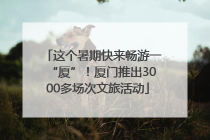 这个暑期快来畅游一“厦”！厦门推出3000多场次文旅活动