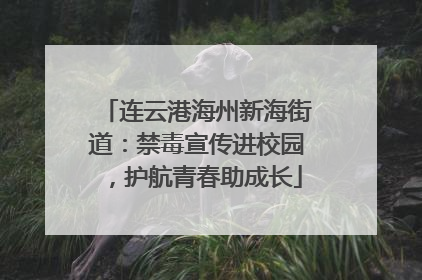 连云港海州新海街道：禁毒宣传进校园，护航青春助成长