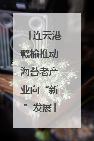 连云港赣榆推动海苔老产业向“新”发展
