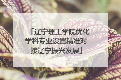 辽宁理工学院优化学科专业设置精准对接辽宁振兴发展