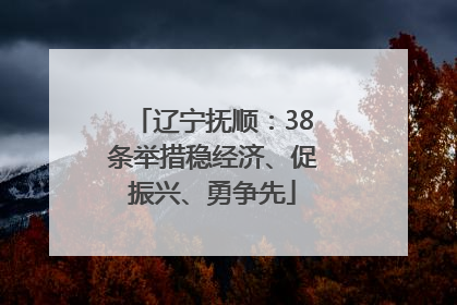 辽宁抚顺：38条举措稳经济、促振兴、勇争先