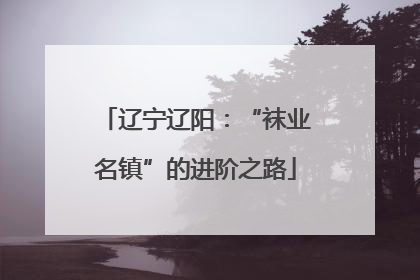 辽宁辽阳：“袜业名镇”的进阶之路