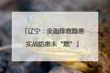 辽宁：全面排查隐患 实战防患未“燃”