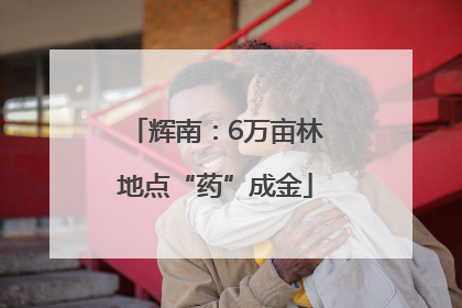 辉南：6万亩林地点“药”成金