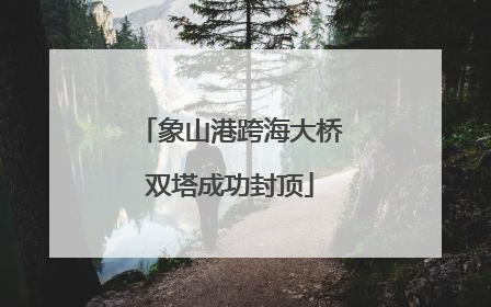象山港跨海大桥双塔成功封顶