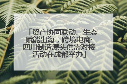 贸产协同联动、生态赋能出海，跨境电商·四川制造源头供需对接活动在成都举办