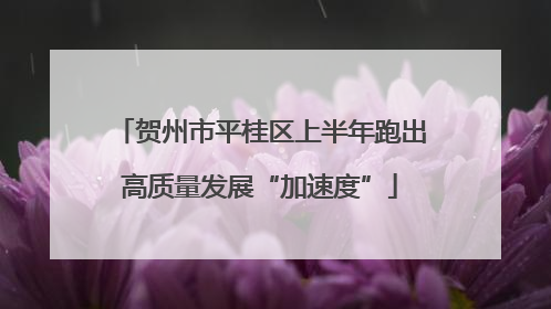 贺州市平桂区上半年跑出高质量发展“加速度”