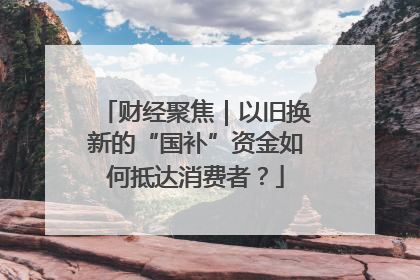 财经聚焦｜以旧换新的“国补”资金如何抵达消费者？