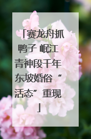 赛龙舟抓鸭子 岷江青神段千年东坡婚俗“活态”重现