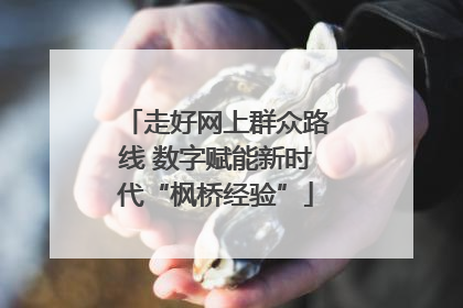 走好网上群众路线 数字赋能新时代“枫桥经验”