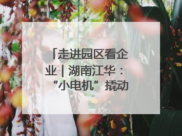 走进园区看企业｜湖南江华：“小电机”撬动“大产业”