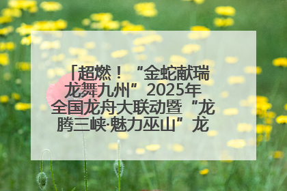 超燃！“金蛇献瑞 龙舞九州”2025年全国龙舟大联动暨“龙腾三峡·魅力巫山”龙舟邀请赛圆满落幕！